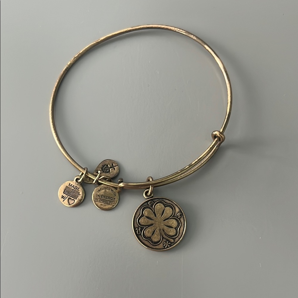 Alex and Ani Gold Charm Bangle Bracelet